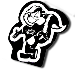 Black Skunk Air Freshener